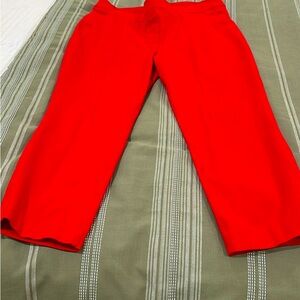 Spanx cropped pants petite large.
